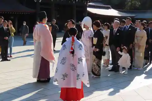 明治神宮(東京都)