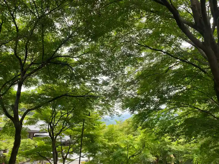 宝徳寺(群馬県)