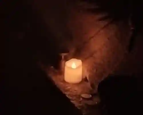 玉眞院玉川大師(東京都)