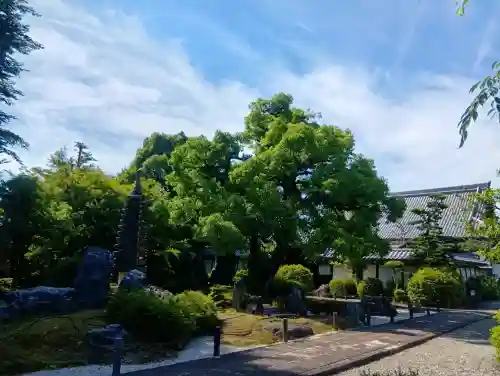 崇福寺(岐阜県)