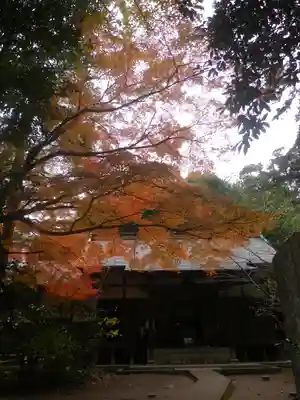 桂昌庵の本殿・本堂