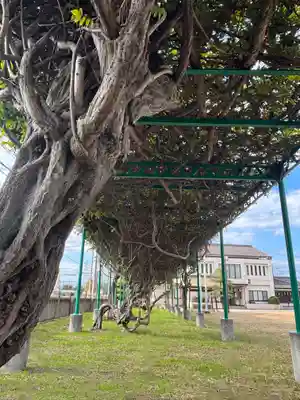 阿閇神社(兵庫県)