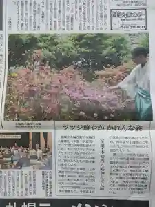 本輪西八幡神社の庭園(2023年05月24日(水) 21時56分40秒投稿)