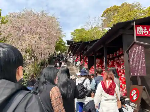 勝尾寺の{uncategorized: "未分類", other: "その他", undefined: "問題あり", building: "その他建物", grave: "お墓", sacred_gate: "鳥居", guardian: "狛犬", statue: "像", buddha: "仏像", history: "歴史", nature: "自然", garden: "庭園", animal: "動物", pagoda: "塔", temizu: "手水舎", mountain_gate: "山門・神門", sanctuary: "本殿・本堂", subordinate: "末社・摂社", art: "芸術", scenery: "景色", jizo: "地蔵", ema: "絵馬", goshuin: "御朱印", omikuji: "おみくじ", items: "授与品その他", amulet: "お守り", goshuincho: "御朱印帳", eats: "食事", festival: "お祭り", votive_dance: "神楽", shichigosan: "七五三参", wedding: "結婚式", experience: "体験その他", initially: "初詣", around: "周辺", anti_infection: "感染症対策"}