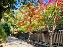 宇治上神社の建物その他