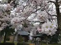 白山神社(福井県)