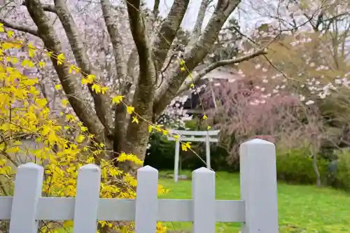 彌彦神社(新潟県)