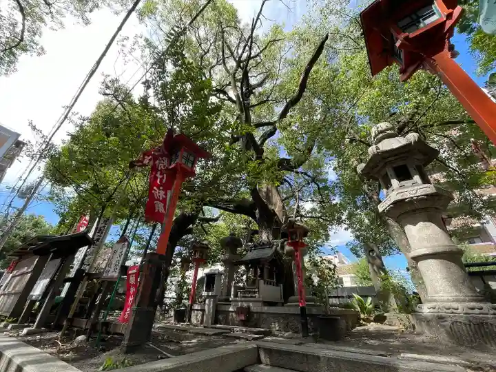 若一神社の自然