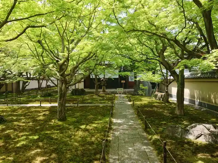 黄梅院(京都府)