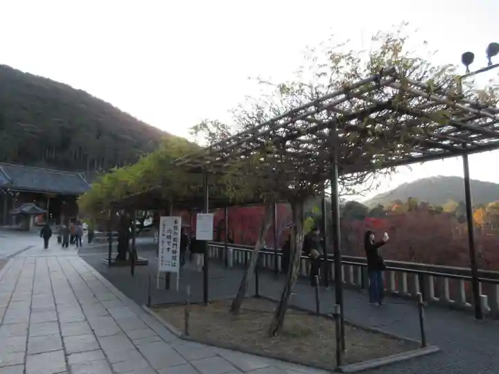 清水寺(京都府)