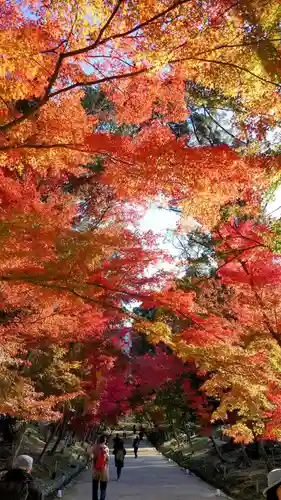 醍醐寺(京都府)