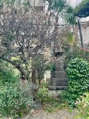 常泉寺(東京都)