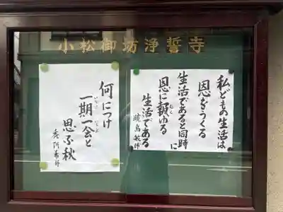 浄誓寺(石川県)