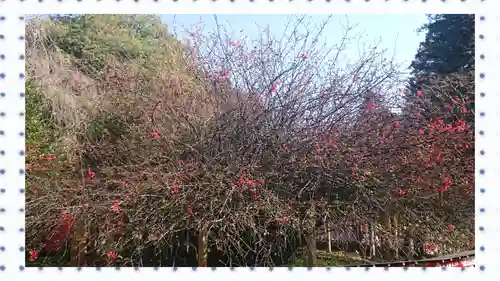 冠稲荷神社(群馬県)