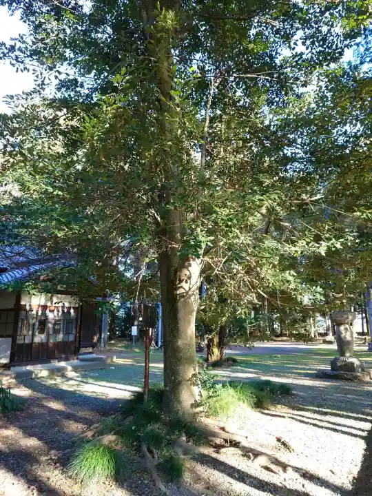 鎌形八幡神社の{uncategorized: "未分類", other: "その他", undefined: "問題あり", building: "その他建物", grave: "お墓", sacred_gate: "鳥居", guardian: "狛犬", statue: "像", buddha: "仏像", history: "歴史", nature: "自然", garden: "庭園", animal: "動物", pagoda: "塔", temizu: "手水舎", mountain_gate: "山門・神門", sanctuary: "本殿・本堂", subordinate: "末社・摂社", art: "芸術", scenery: "景色", jizo: "地蔵", ema: "絵馬", goshuin: "御朱印", omikuji: "おみくじ", items: "授与品その他", amulet: "お守り", goshuincho: "御朱印帳", eats: "食事", festival: "お祭り", votive_dance: "神楽", shichigosan: "七五三参", wedding: "結婚式", experience: "体験その他", initially: "初詣", around: "周辺", anti_infection: "感染症対策"}