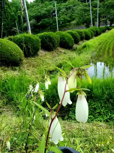 鹿島大神宮(福島県)