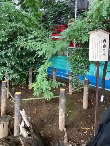 川越八幡宮(埼玉県)