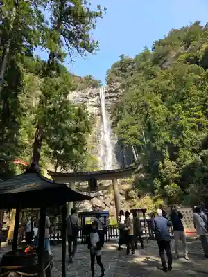 飛瀧神社(熊野那智大社別宮)の{uncategorized: "未分類", other: "その他", undefined: "問題あり", building: "その他建物", grave: "お墓", sacred_gate: "鳥居", guardian: "狛犬", statue: "像", buddha: "仏像", history: "歴史", nature: "自然", garden: "庭園", animal: "動物", pagoda: "塔", temizu: "手水舎", mountain_gate: "山門・神門", sanctuary: "本殿・本堂", subordinate: "末社・摂社", art: "芸術", scenery: "景色", jizo: "地蔵", ema: "絵馬", goshuin: "御朱印", omikuji: "おみくじ", items: "授与品その他", amulet: "お守り", goshuincho: "御朱印帳", eats: "食事", festival: "お祭り", votive_dance: "神楽", shichigosan: "七五三参", wedding: "結婚式", experience: "体験その他", initially: "初詣", around: "周辺", anti_infection: "感染症対策"}