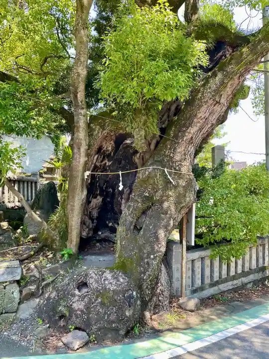 湯前神社(静岡県)
