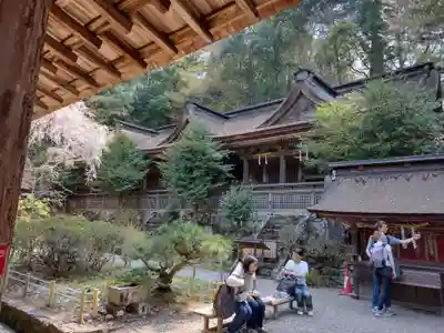 吉野水分神社(吉野町)の本殿・本堂