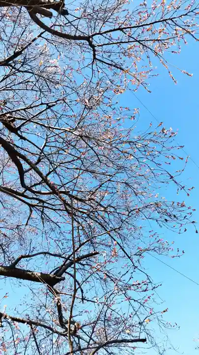 尾張猿田彦神社(愛知県)