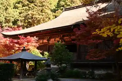 金剛輪寺(滋賀県)