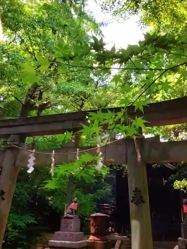 赤坂氷川神社(東京都)