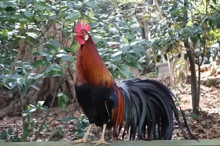 大甕神社(茨城県)