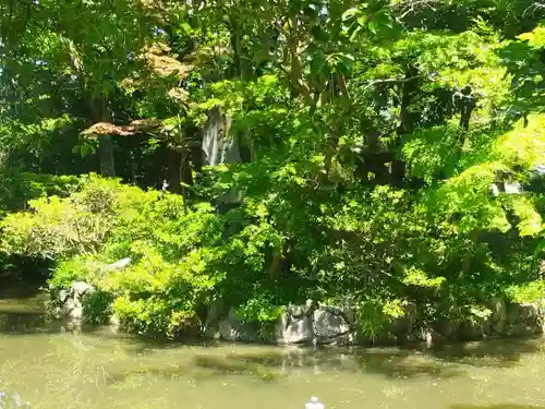 佐太神社(佐太天神宮)(大阪府)