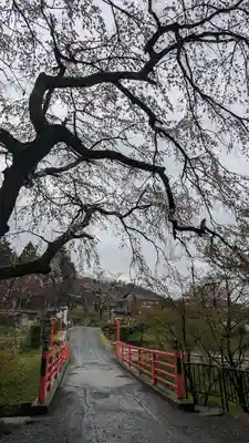 正法寺(京都府)