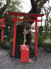 冠稲荷神社の自然