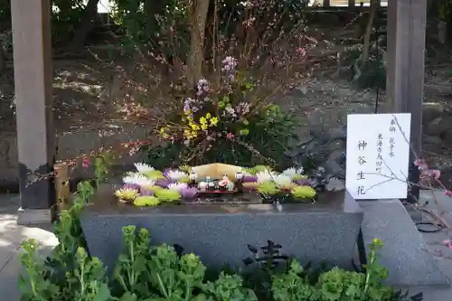 東海市熊野神社の手水舎