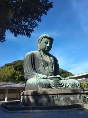 高徳院(神奈川県)
