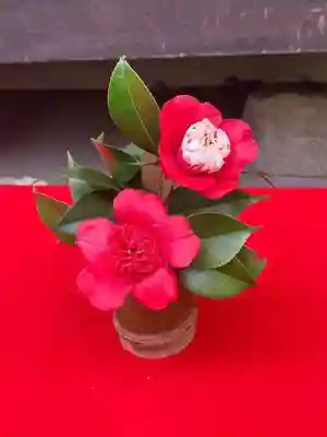 霊鑑寺門跡(京都府)