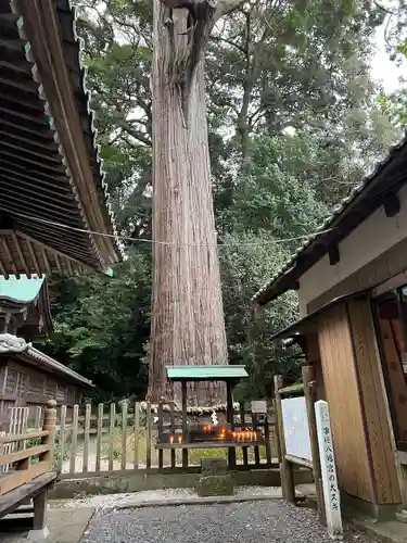 事任八幡宮(静岡県)