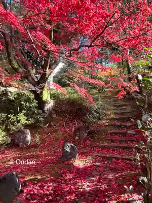 榮攝院（栄摂院）の自然