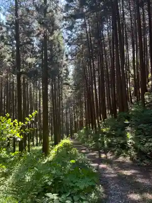 青麻三光神社(茨城県)