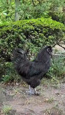 熱田神宮(愛知県)