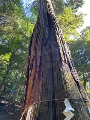 元伊勢内宮 皇大神社(京都府)