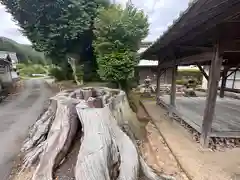 吉備津神社(京都府)