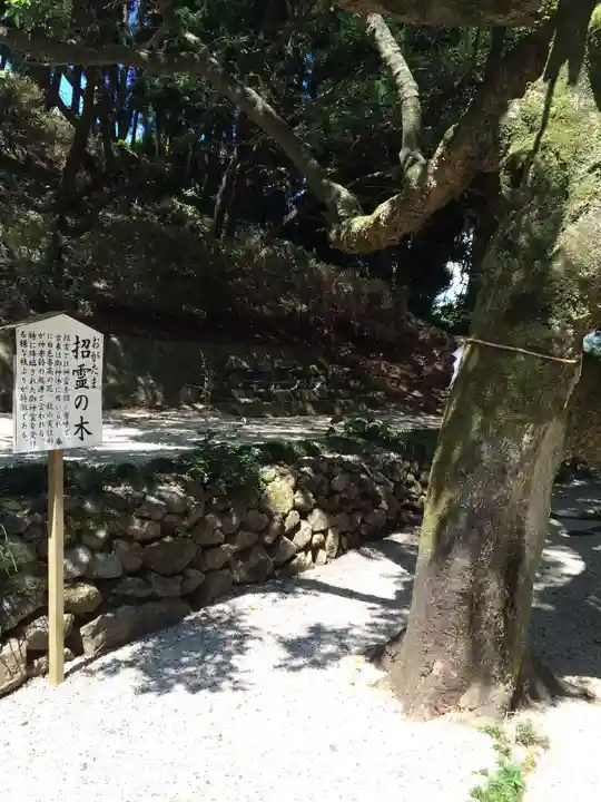 男女神社(佐賀県)
