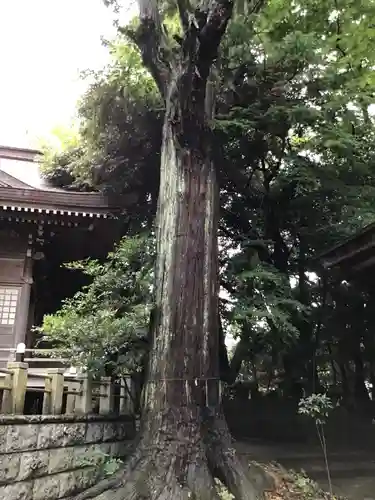 艫神社の自然