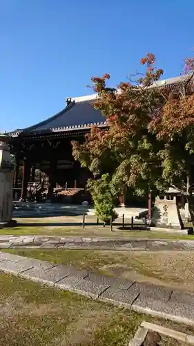 妙顯寺（妙顕寺）の本殿・本堂