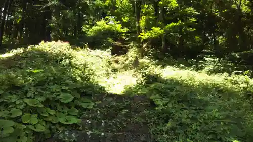 胡四王神社の自然