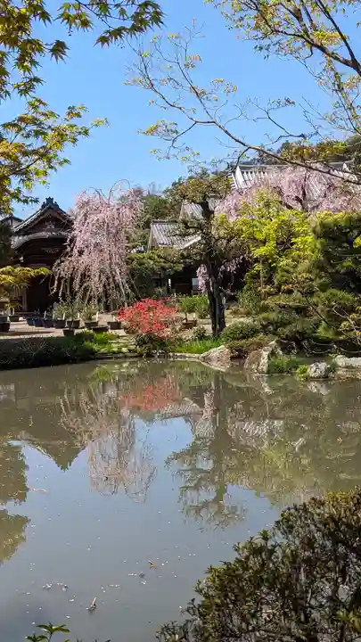 法金剛院(京都府)