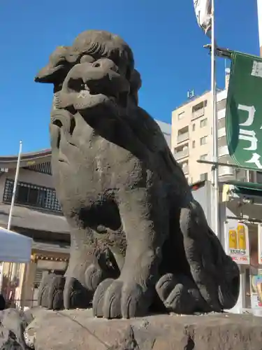 浅草神社の狛犬