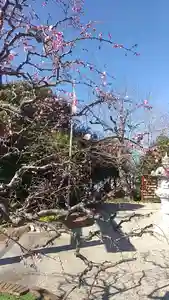 比佐豆知神社の自然(2023年02月22日(水) 10時06分34秒投稿)