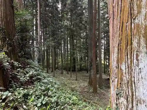 大宮温泉神社(栃木県)