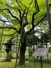 北口本宮冨士浅間神社の庭園