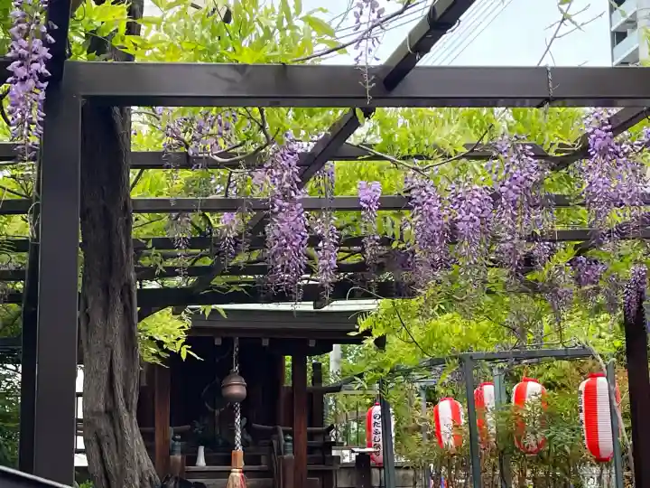 藤之宮 春日神社(野田の藤跡)の{uncategorized: "未分類", other: "その他", undefined: "問題あり", building: "その他建物", grave: "お墓", sacred_gate: "鳥居", guardian: "狛犬", statue: "像", buddha: "仏像", history: "歴史", nature: "自然", garden: "庭園", animal: "動物", pagoda: "塔", temizu: "手水舎", mountain_gate: "山門・神門", sanctuary: "本殿・本堂", subordinate: "末社・摂社", art: "芸術", scenery: "景色", jizo: "地蔵", ema: "絵馬", goshuin: "御朱印", omikuji: "おみくじ", items: "授与品その他", amulet: "お守り", goshuincho: "御朱印帳", eats: "食事", festival: "お祭り", votive_dance: "神楽", shichigosan: "七五三参", wedding: "結婚式", experience: "体験その他", initially: "初詣", around: "周辺", anti_infection: "感染症対策"}